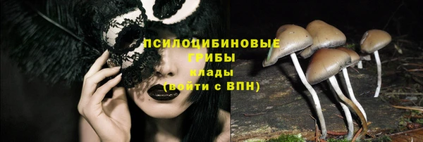 Альфа ПВП Арсеньев