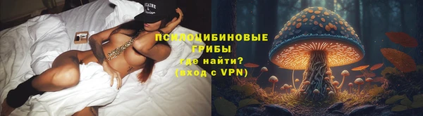 ПСИЛОЦИБИНОВЫЕ ГРИБЫ Аркадак