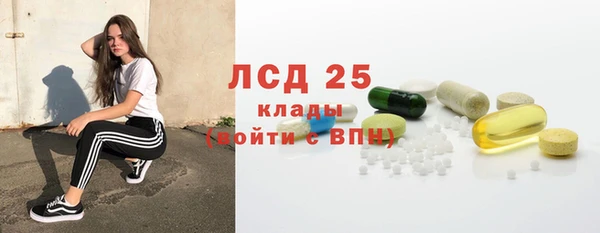 ПСИЛОЦИБИНОВЫЕ ГРИБЫ Аркадак