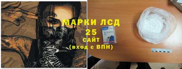 ПСИЛОЦИБИНОВЫЕ ГРИБЫ Аркадак