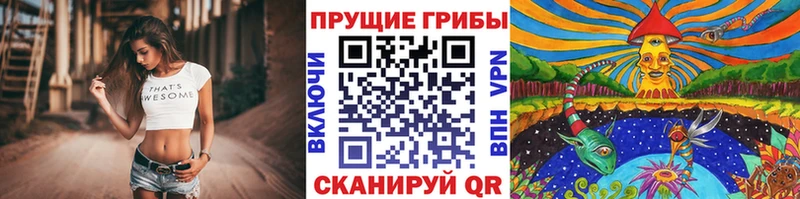 что такое наркотик  Тайга  kraken ССЫЛКА  Псилоцибиновые грибы ЛСД 