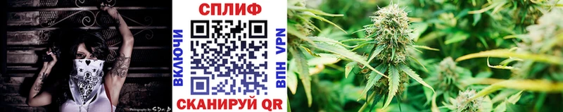 Бошки марихуана LSD WEED  Тайга 